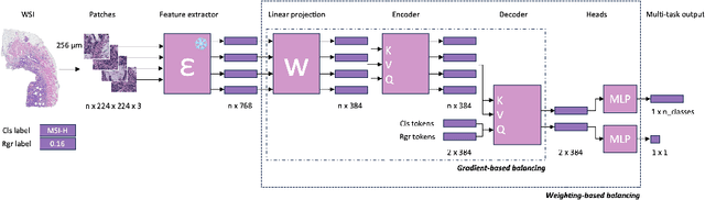 Figure 1 for Joint multi-task learning improves weakly-supervised biomarker prediction in computational pathology