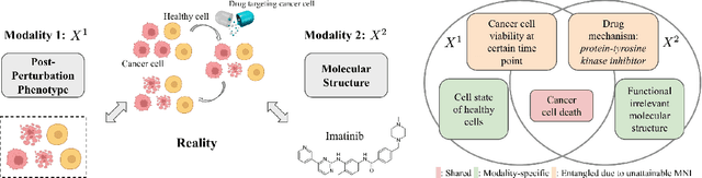 Figure 1 for An Information Criterion for Controlled Disentanglement of Multimodal Data