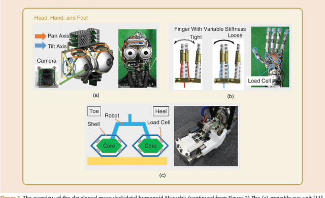 Figure 2 for Toward Autonomous Driving by Musculoskeletal Humanoids: A Study of Developed Hardware and Learning-Based Software