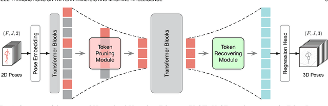 Figure 3 for H$_{2}$OT: Hierarchical Hourglass Tokenizer for Efficient Video Pose Transformers