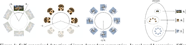 Figure 1 for Self-Supervised Detection of Perfect and Partial Input-Dependent Symmetries