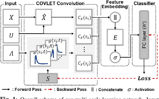 Figure 1 for Learning Covariance-Based Multi-Scale Representation of Neuroimaging Measures for Alzheimer Classification