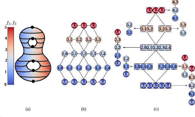 Figure 1 for A Topological Distance Measure between Multi-Fields for Classification and Analysis of Shapes and Data